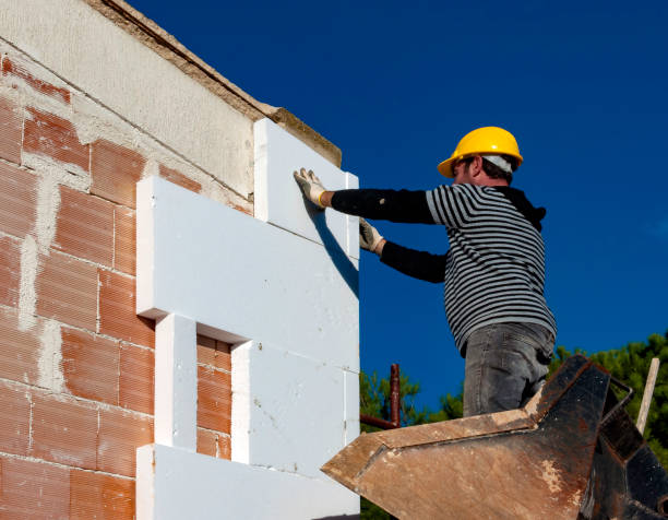 Best Insulation Installation Services in Clayton, DE
