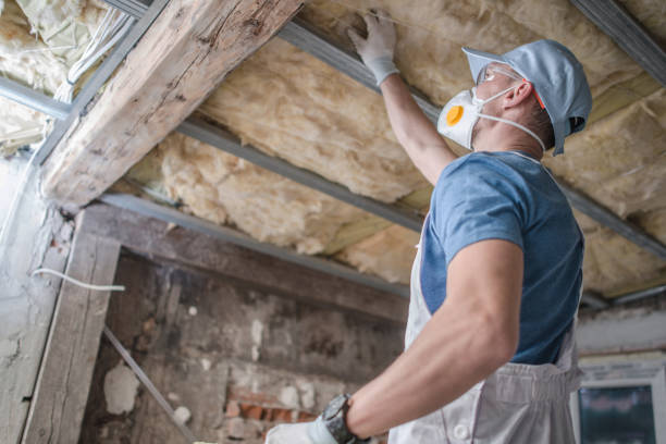 , DE Insulation Contractor Company