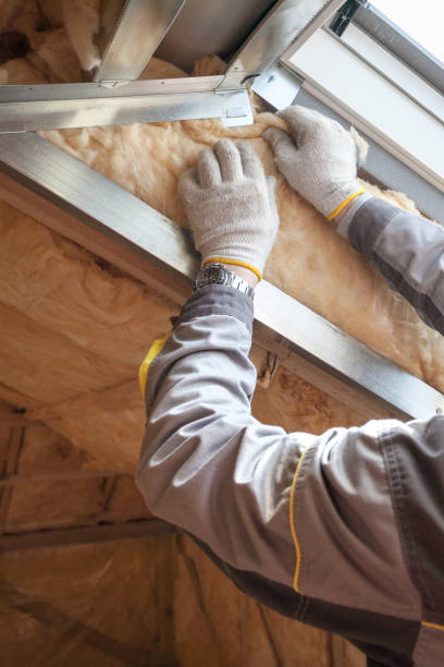 Best Insulation Maintenance and Repair in Clayton, DE